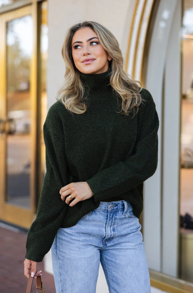 Solid Turtleneck Sweater