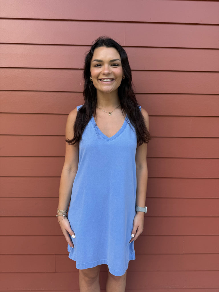 Sloane V-Neck Mini Dress