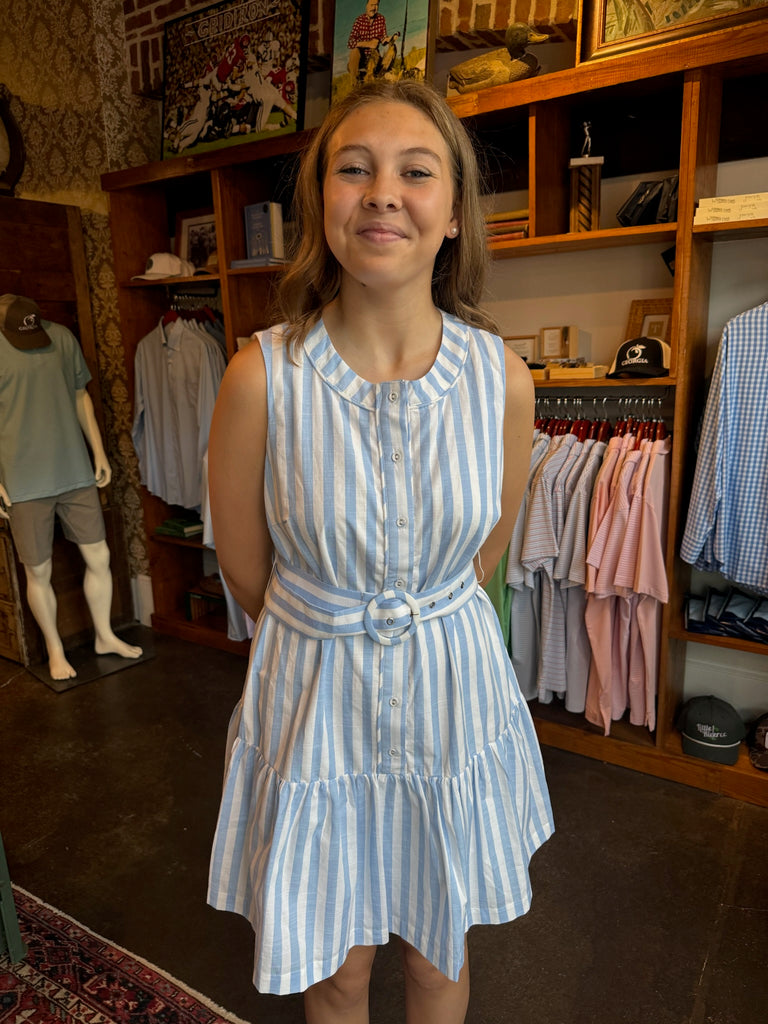 Dreamy Blue Stripe Mini Dress