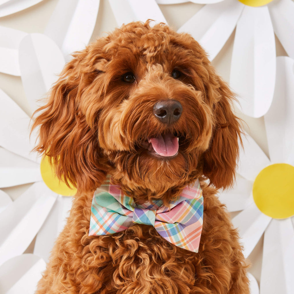 Blooming Plaid Spring Easter Bow Tie