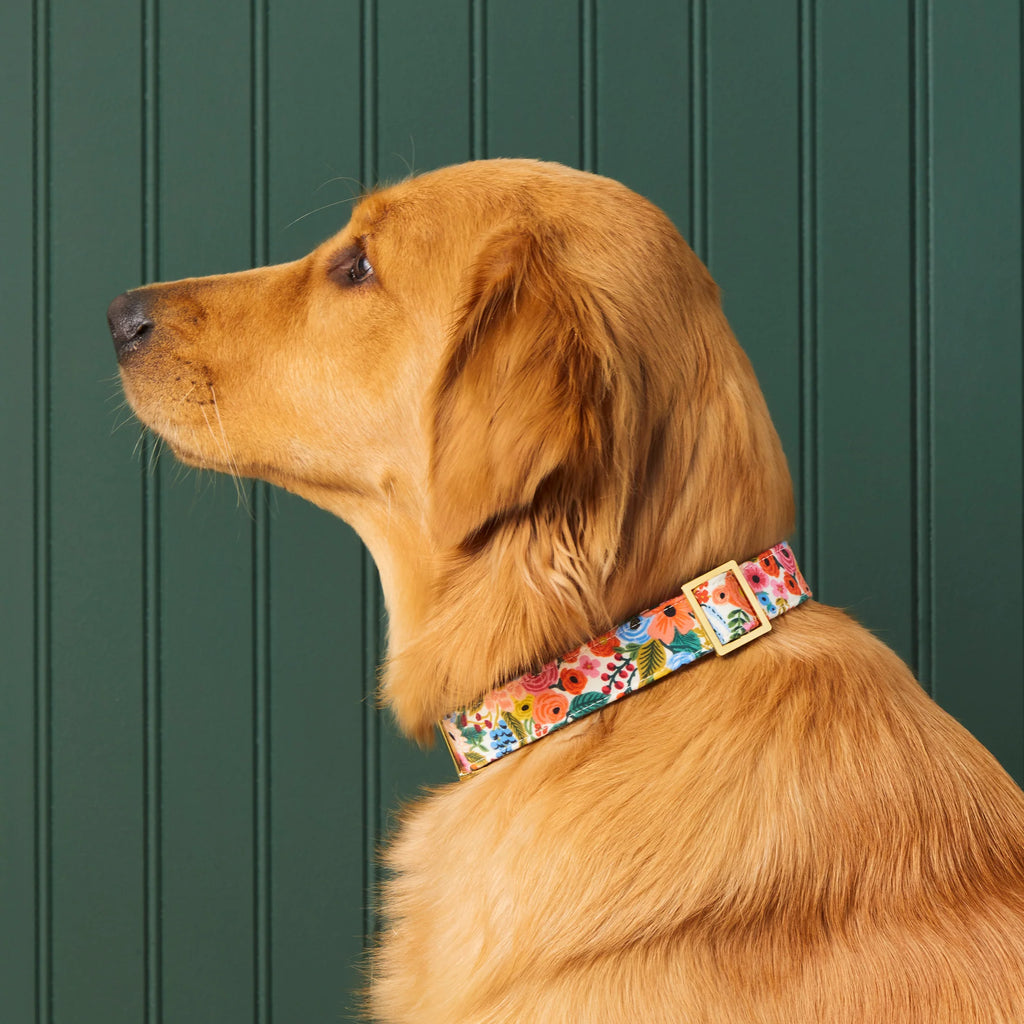 Rifle Paper Co. x Garden Party Dog Collar