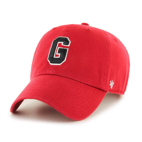 Georgia Bulldogs Clean Up Hat